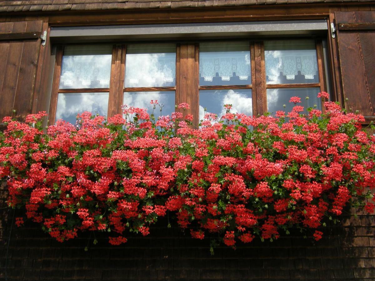 Appartements Karin Mitten Im Gruenen Schoppernau Luaran gambar