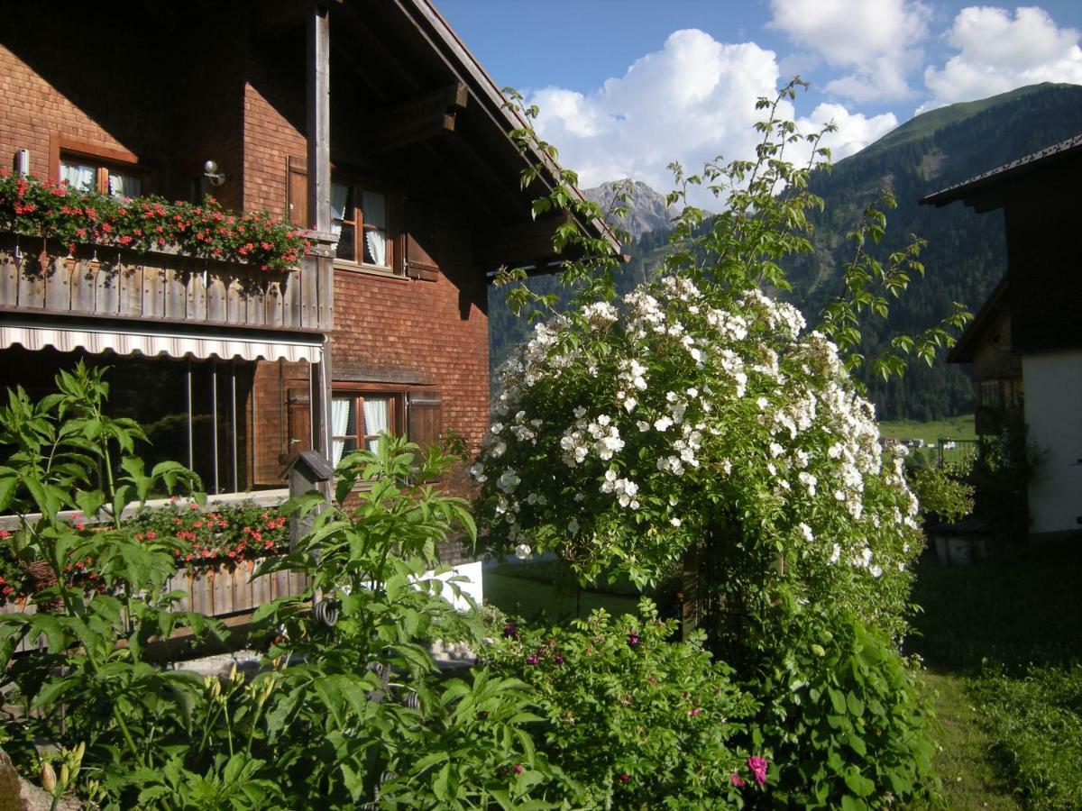 Appartements Karin Mitten Im Gruenen Schoppernau Luaran gambar