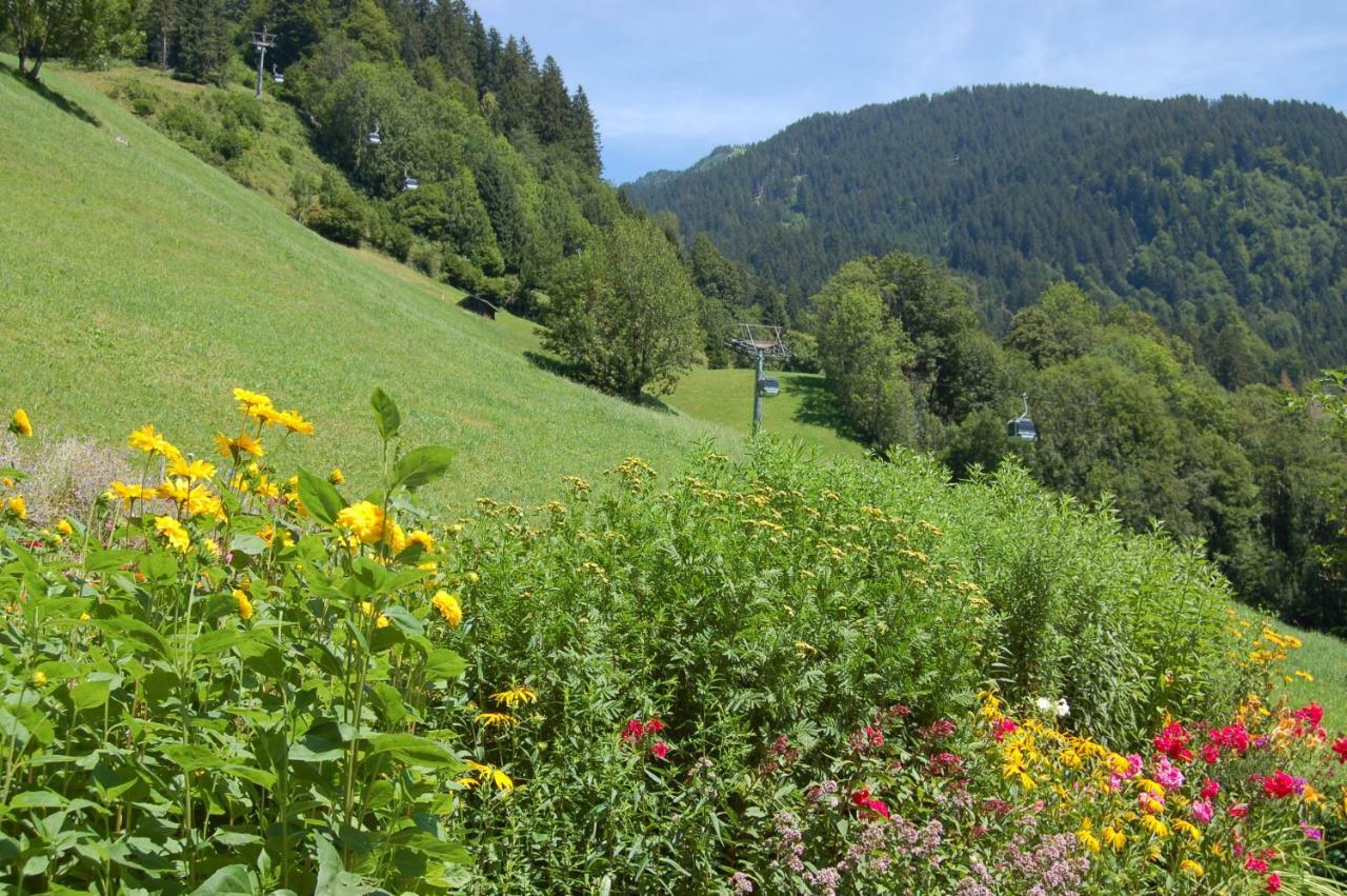 Appartements Karin Mitten Im Gruenen Schoppernau Luaran gambar